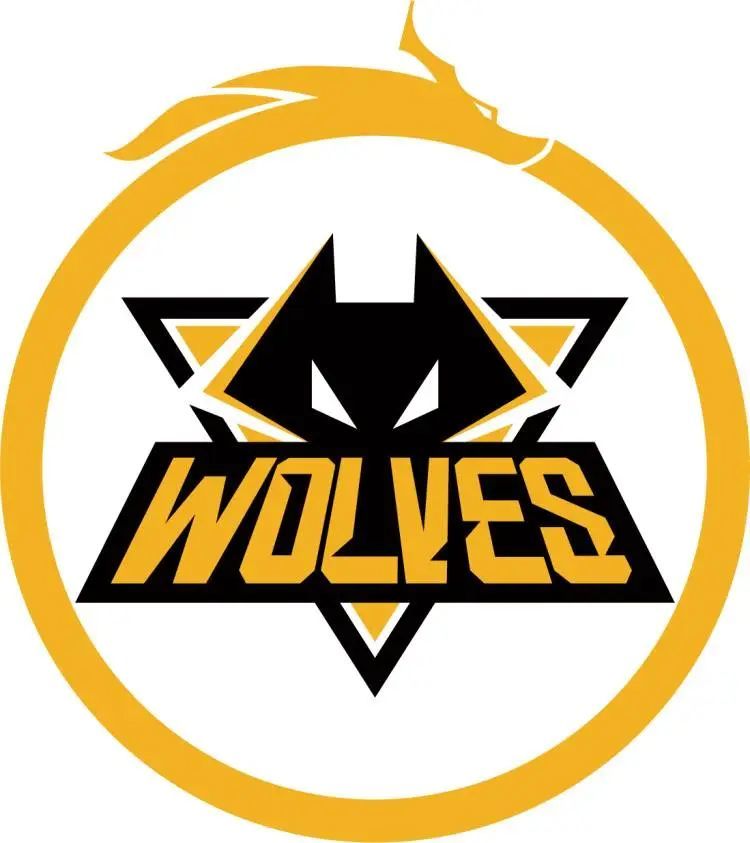 爆爆爆 LNG Esports . Hang ：懂这个游戏的人不会觉得我们会输给WBG！